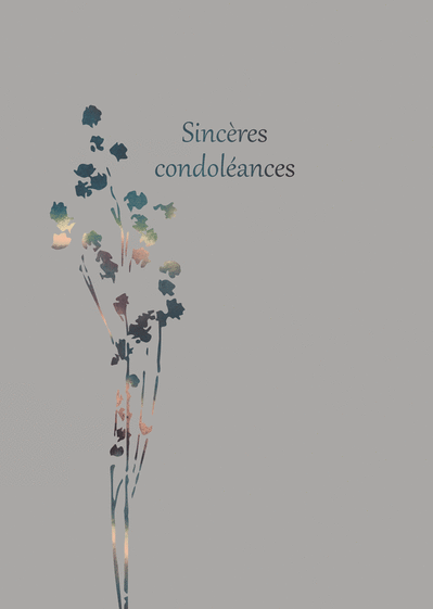 carte de condoleances merci facteur